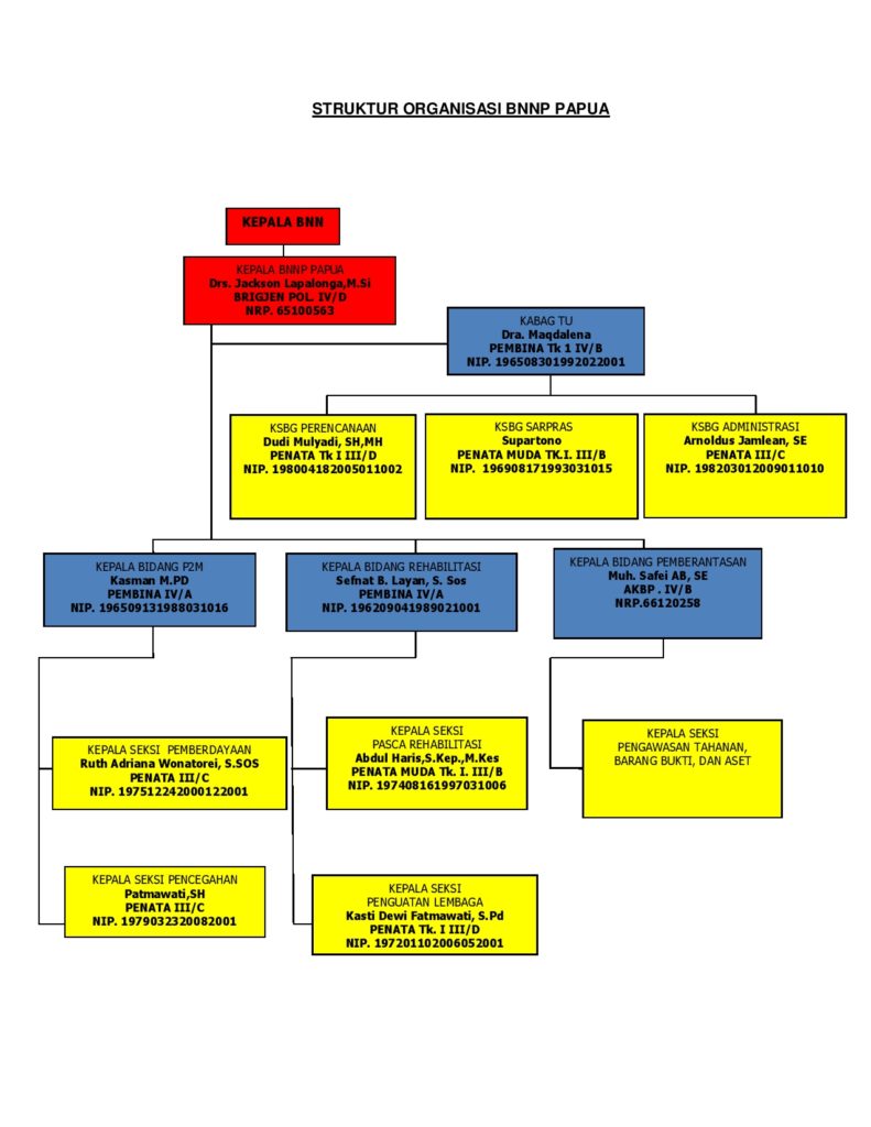Struktur Organisasi BNNP Papua