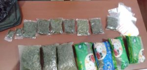 Penangkapan Pengedar Ganja Seberat 1 Kg (16 Paket) oleh Personil BNNP Papua Penangkapan Pengedar Ganja Seberat 1 Kg (16 Paket) oleh Personil BNNP Papua