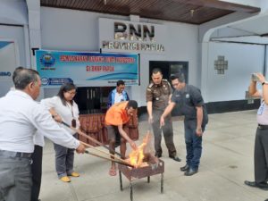 Pemusnahan Barang Bukti Narkotika Jenis Ganja Di Halaman Kantor BNNP Papua Pemusnahan Barang Bukti Narkotika Jenis Ganja Di Halaman Kantor BNNP Papua