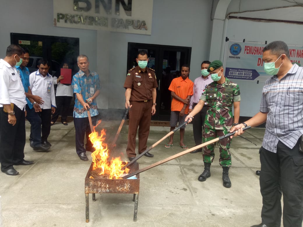 Pemusnahan Barang Bukti Narkotika Jenis Ganja di Halaman Kantor BNN Provinsi Papua Pemusnahan Barang Bukti Narkotika Jenis Ganja di Halaman Kantor BNN Provinsi Papua