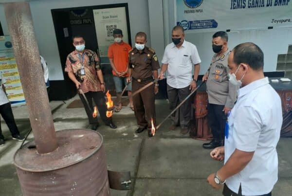 Tancap Gas Awal Tahun, BNNP Papua Musnahkan BB Narkotika Jenis Ganja