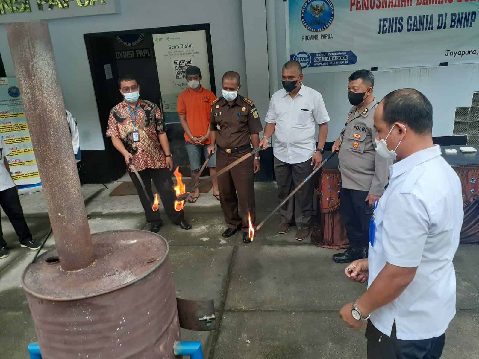 Tancap Gas Awal Tahun, BNNP Papua Musnahkan BB Narkotika Jenis Ganja