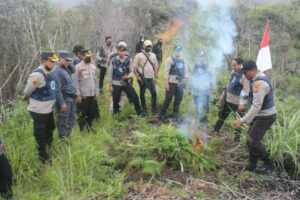 Pemusnahan Lahan Ganja di Distrik Wolo dan Distrik Pirime Kabupaten Jayawijaya