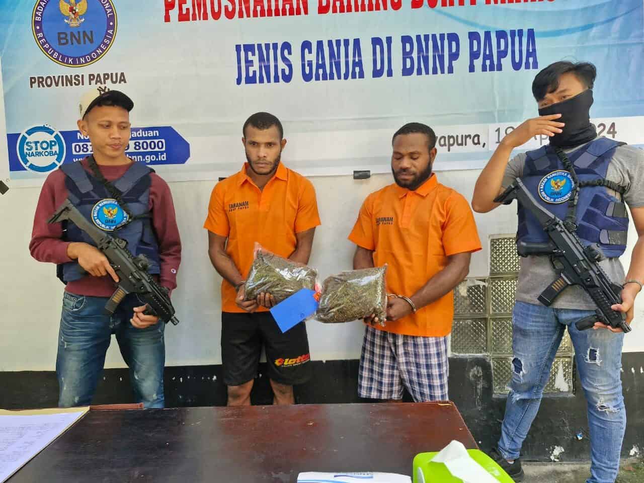 Pemusnahan Barang Bukti Narkotika Jenis Ganja di Kantor BNNP Papua